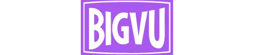 bigvu