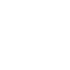 motion design