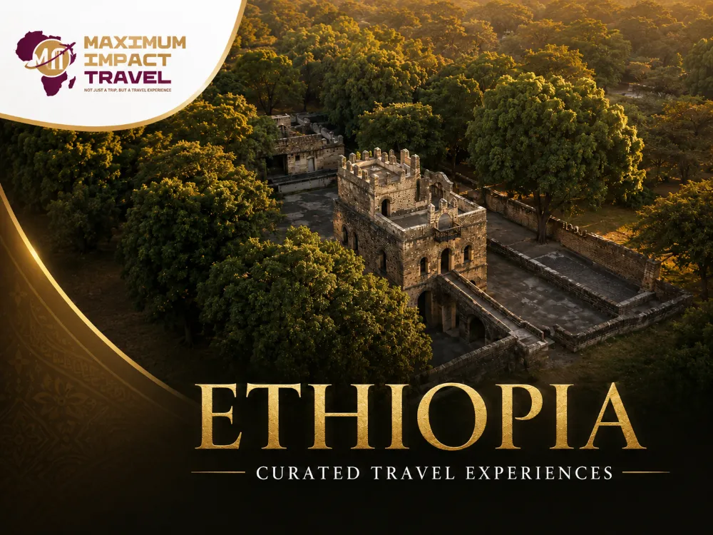 Maximum Impact Travel Agency Ethiopia